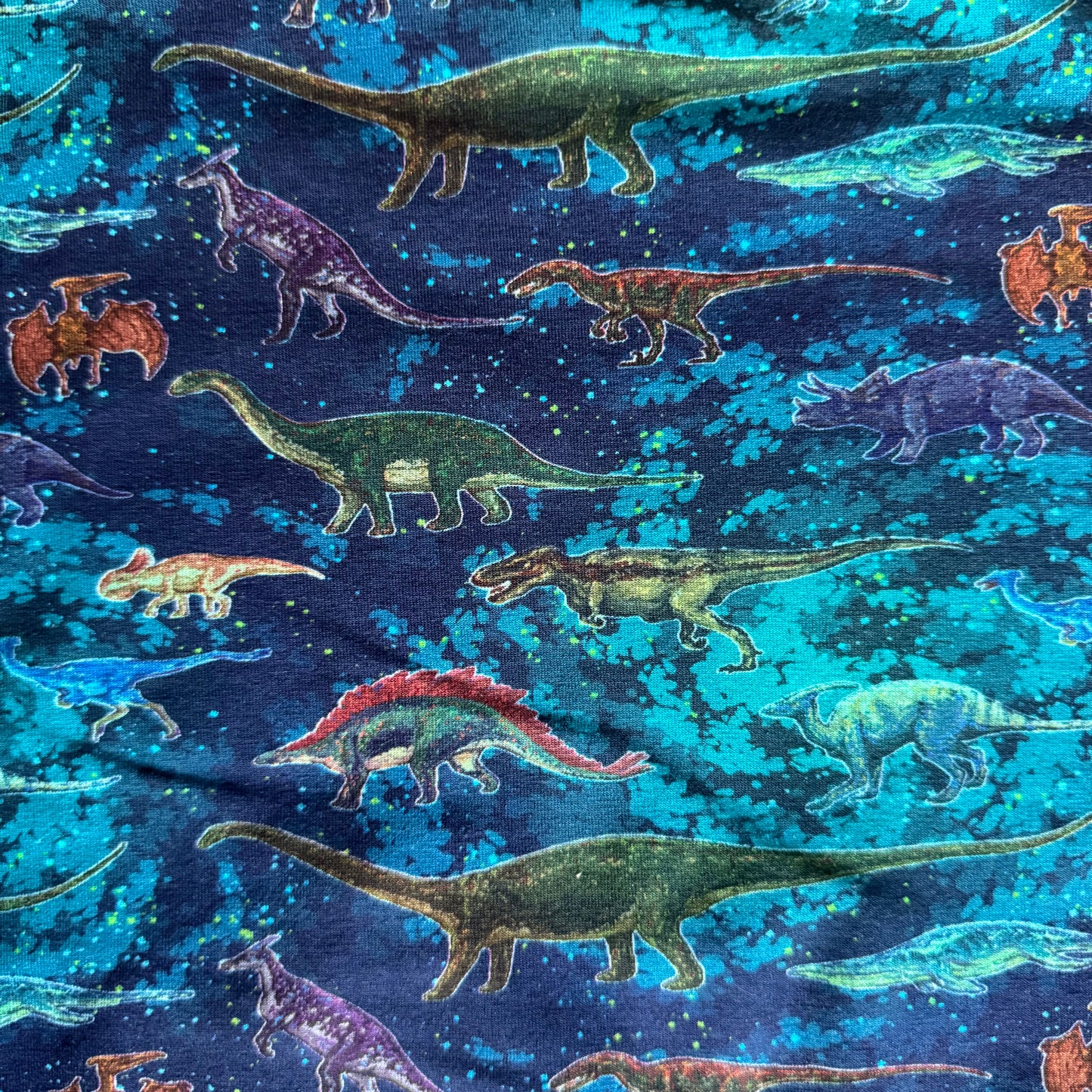 SJAAL Dino's