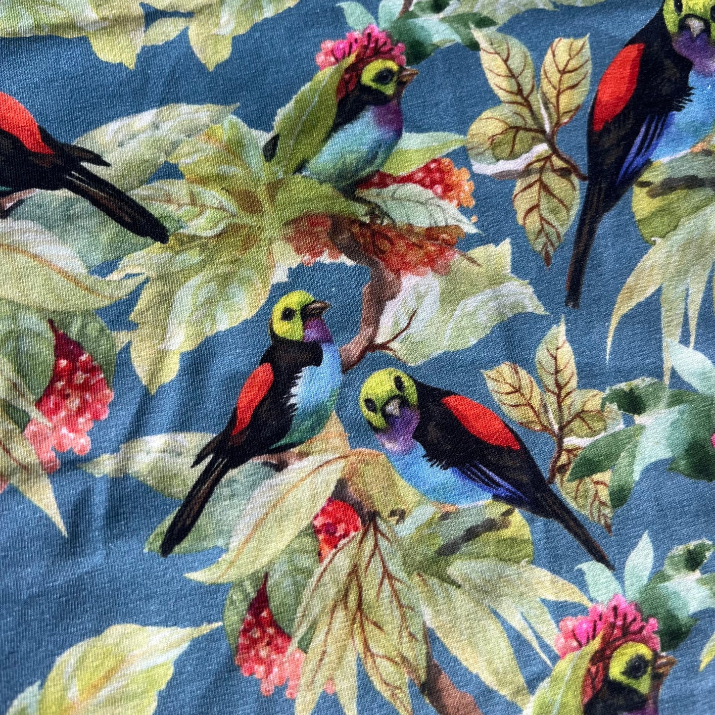 Sjaal SALES Middenblauw birds
