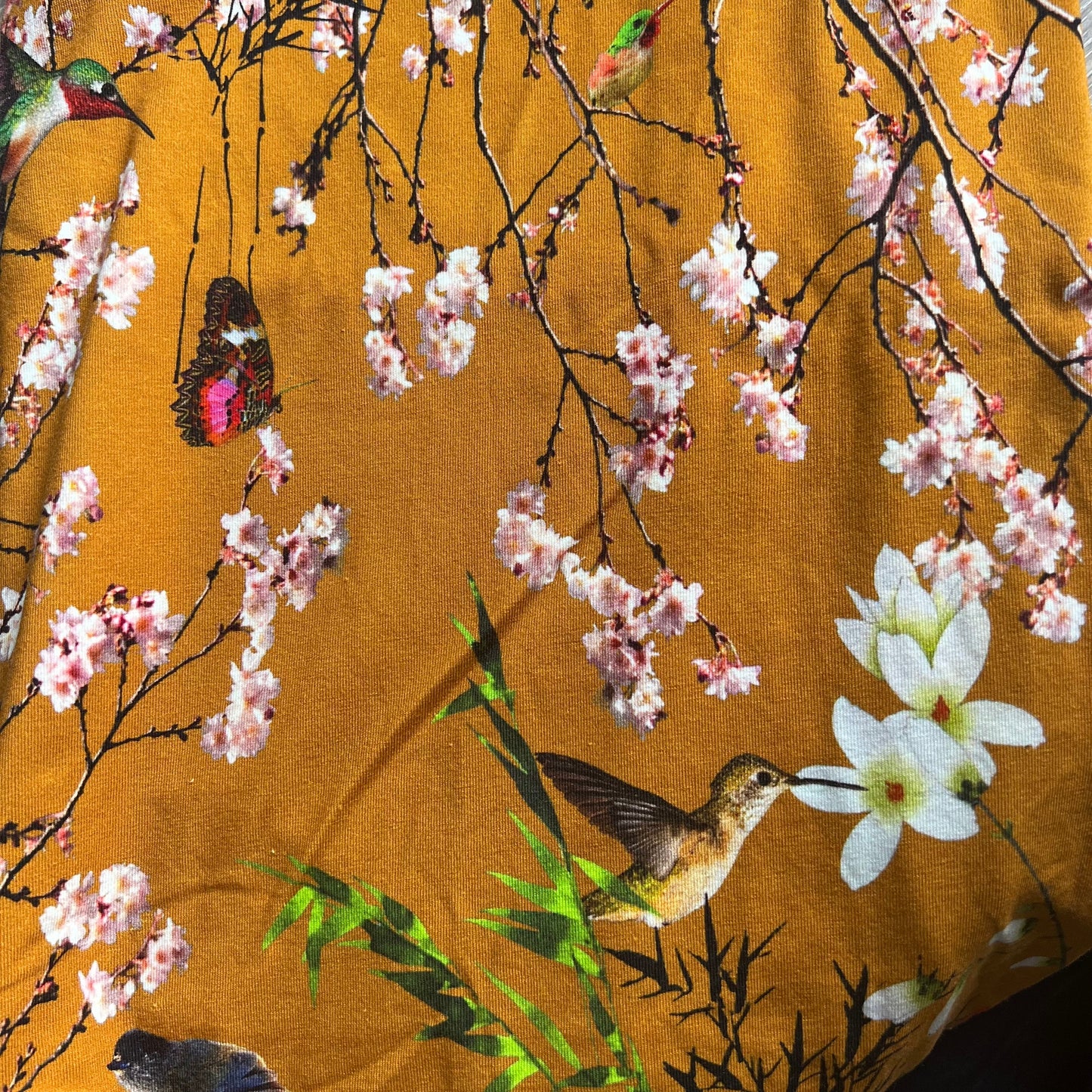 colsjaal Oker Flower en birds